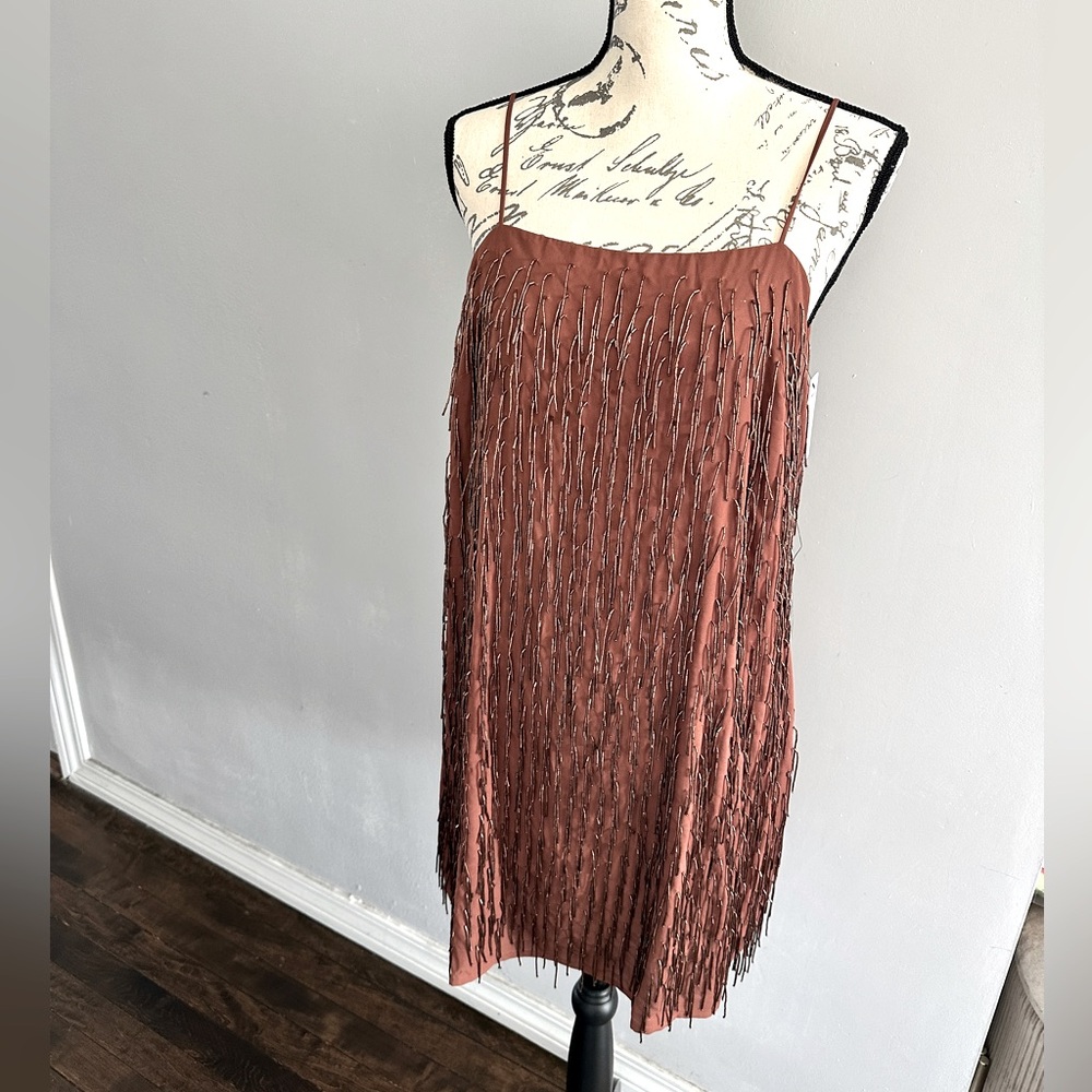 Sequin Fringe pullover dress Express M